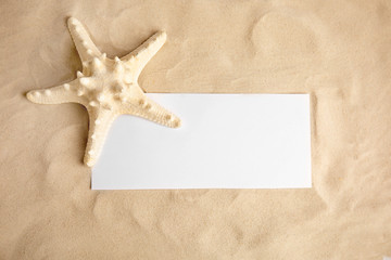 Fototapeta na wymiar Beautiful starfish and blank card on sand, top view. Space for text