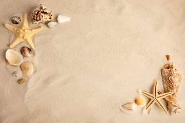 Flat lay composition with beautiful starfishes and sea shells on sand, space for text