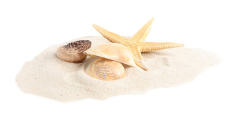 Fototapeta na wymiar Pile of beach sand with beautiful starfish and sea shells on white background