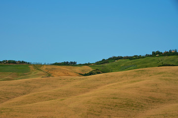 Fototapeta premium View of a autumn day in the Italian rural landscape. Unique sundown tuscany landscape in fall time. Wave hills, cypresses trees and cloudly sky. Tuscany, Italy, Europe