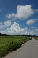 青空の入道雲と草原や畑の一本道