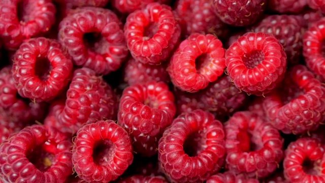 Close Up Rotation Loopable Berry. Fresh, Juicy Raspberry Background, Ripe. Macro Red Raspberries Fruit. Fresh Raspberry Fruits As Food Dackground. Healthy Food Organic Nutrition.
