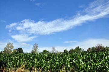 Radwege Coburg und Umgebung