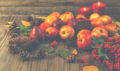 Thanksgiving still-life with cranberries, autumn leaves, apples and cones. Autumn Thanksgiving seasonal fruit. Nature background. Toned image, copy space.