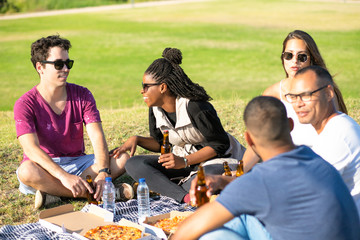 Smiling friends with beer bottles during picnic. Group of young people relaxing during sunny day. Leisure concept