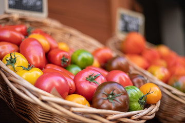 A basket of colorful tomatoes