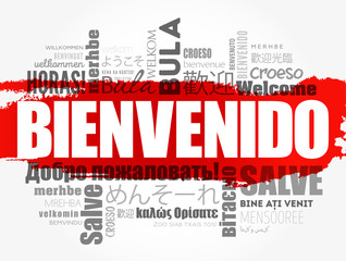 Bienvenido (Welcome in Spanish) word cloud in different languages