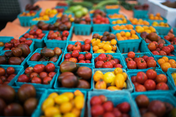 Pint baskets of organic red tomatoes on the counter at a farmer's market. Fresh produce on sale at the local farmers market.