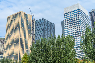 Obraz na płótnie Canvas green trees front of modern glass office building.
