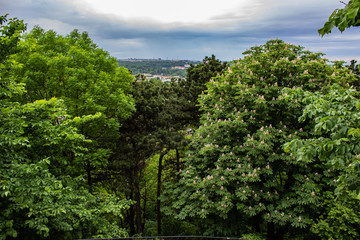 Obraz premium Architecture of Lviv. Lviv is the cultural center of Ukraine. Television and town hall in the center. Tourist attractions. .