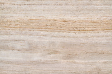 texture of wood surface and grain