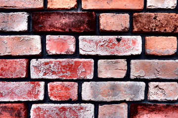 a  texture of brick wall
