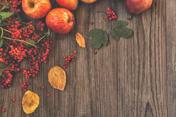 Autumn fruit background. Autumn Thanksgiving seasonal fruit. Nature background. Top view, copy space.