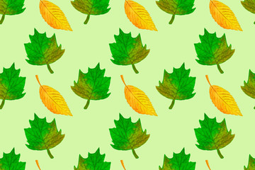 Obraz premium Autumn seamless pattern with colorful leaves. Fall backdrop of yellow, red and green foliage on green background. Hand drawn watercolor illustration. Fabric and textile print template