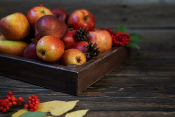 Red apples in farmhouse style wooden crate. Autumn falling leaves and fruits on dark wooden board. Copy space for text. Toned image. Selective focus.