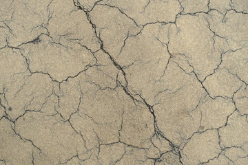  Crack on a concrete surface in Los Angeles for interior design.