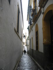 Street of Cordoba in Andalusia, Spain