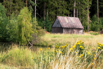 Waldhütte © Xaver Klaussner