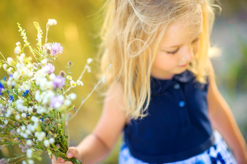 lovely cute little girl playing outdoors at sunset, holding a bouquet of wildflowers and walking on...