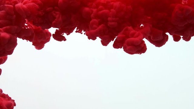 Red color paint ink drops in water slow motion video white background with copy space. Inky cloud swirling flowing underwater. Abstract isolated smoke explosion