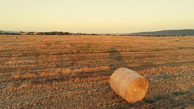 Slow aerial shot of field with straw bales in golden sunset or sunrise. One of series.