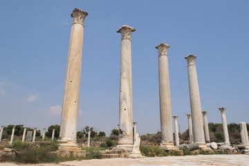 Fototapeta premium Old Salamis city, Famagusta, Cyprus