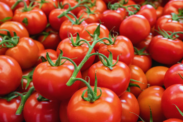 Fresh ripe tomatoes on farmers market
