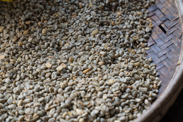 コーヒー生豆　