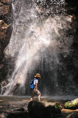 Obraz premium 寿老の滝