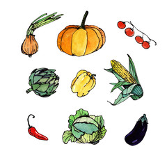 watercolor vegetables set illustration  isolated on white background 