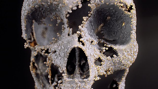 Stock motion graphics video shows a close-up shot of a skull formed by tiny particles