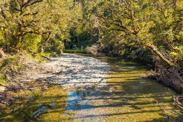 A wide nd shallow stream a weaves its way through native New Zealand bush