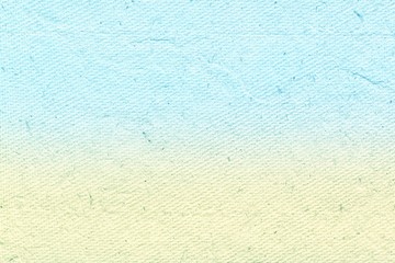 texture of paper palnt