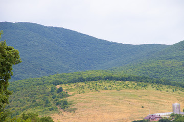Obraz premium Southern highlands. Field with low mountains. Low mountains with trees. Anapsky district, Russia. Summer mountain landscape
