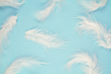 Fototapeta na wymiar Gentle soft white feathers pattern over pastel background