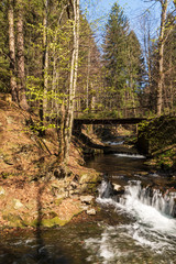 mountain creek with small water cascades, bridge above, trees around and clear sky in Moravskoslezske Beskydy mountains in Czech republic