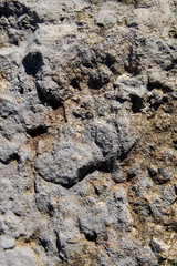 Gray and winding stone concrete texture
