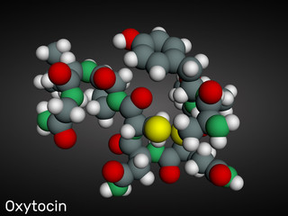 Oxytocin, Oxt, peptide hormone and neuropeptide molecule. Structural chemical formula