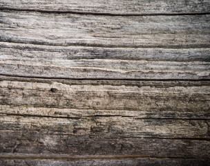 Old wooden texture background. Centenary brown wood texture