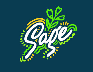 Sage vector illustration.Vector set of element for advertising, packaging design of products.