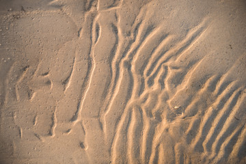 Sandy backdrop ready for design