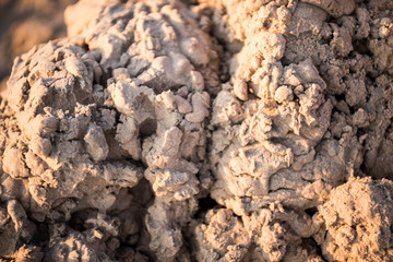 Sandy backdrop ready for design