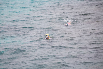 Tourist snorkeling in Red Sea paradise