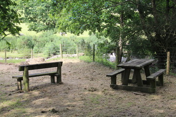 empty bench in the park