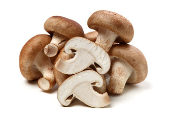 Shiitake mushroom on the White background 