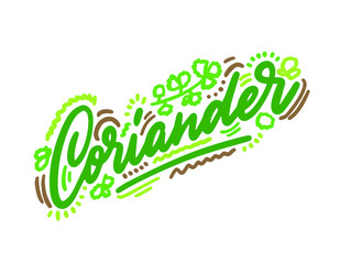 Coriander vector illustration.Vector set of element for advertising, packaging design of products.