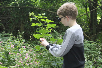 Young boy using a camera