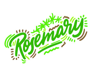Rosemary vector illustration.Vector set of element for advertising, packaging design of products.