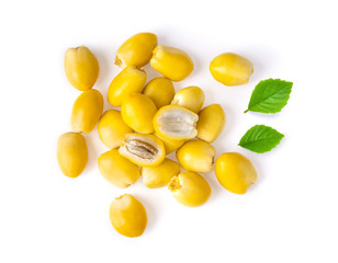 date palm with leaf isolated on white background. top view