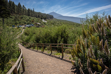 Fototapeta premium Ausblick zum Teide